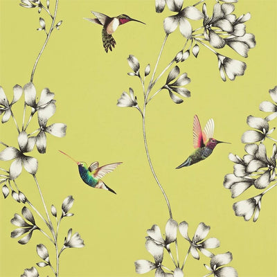 Amazilia Gooseberry Wallpaper by Harlequin