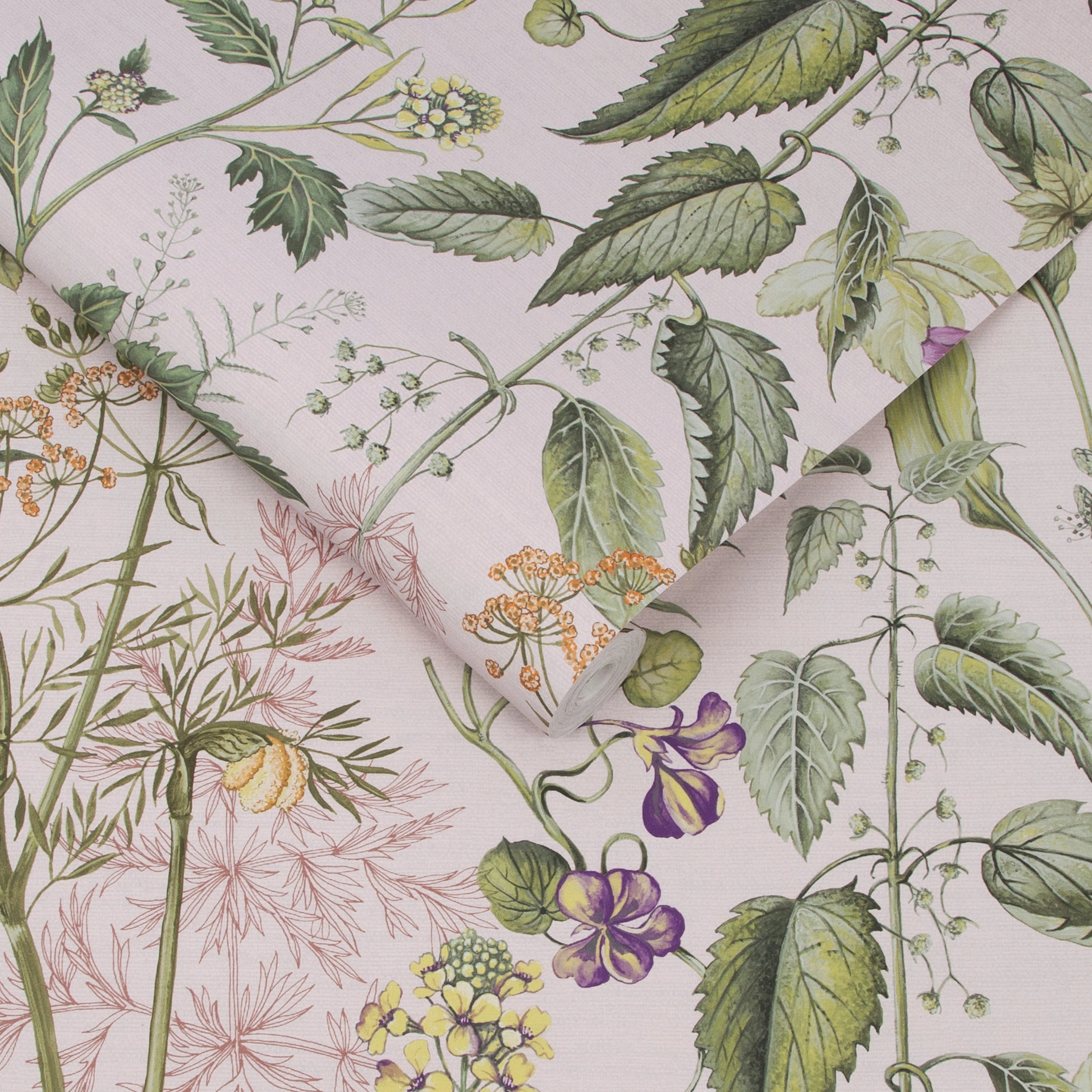 118015 Edulis Blush Wallpaper by Graham and Brown