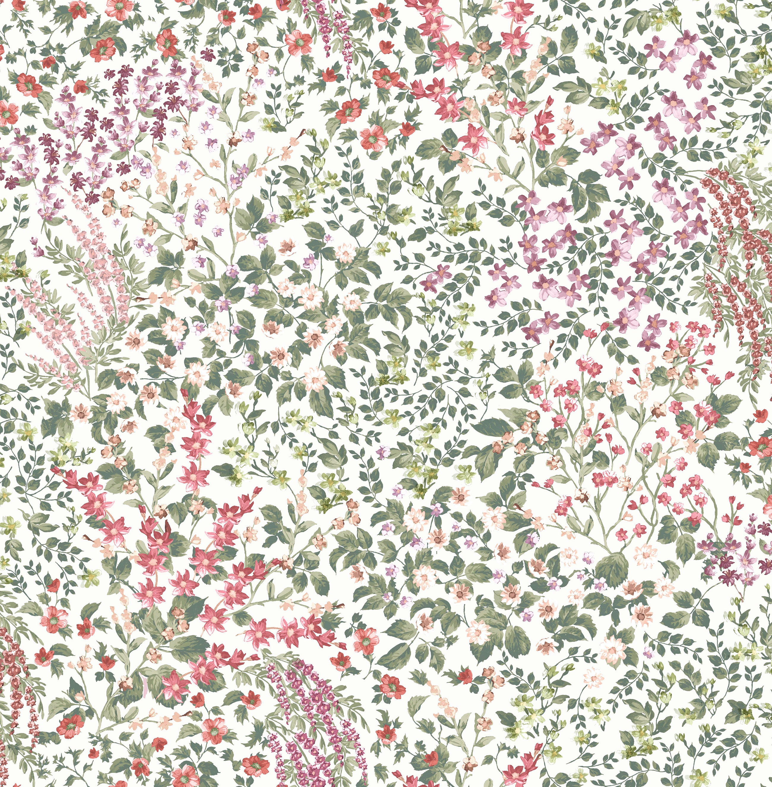 142353 Painterly Flora Day Wallpaper by Graham & Brown