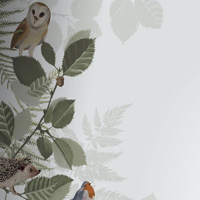 Woodland Border 1 Mural Forest Friends Wallpaper By Today Interiors