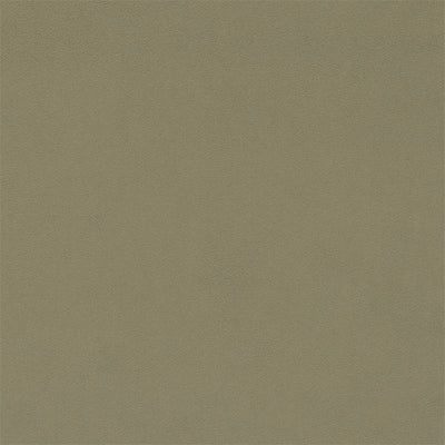 Dorton Velvets Putty Fabric by Sanderson