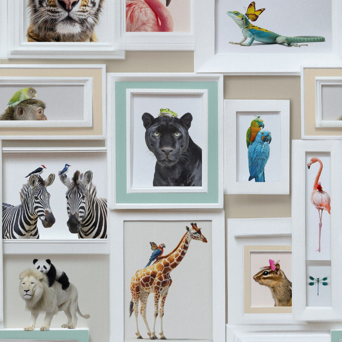 Animal Gallery Wall White Curiosity Wallpaper by A S Creation