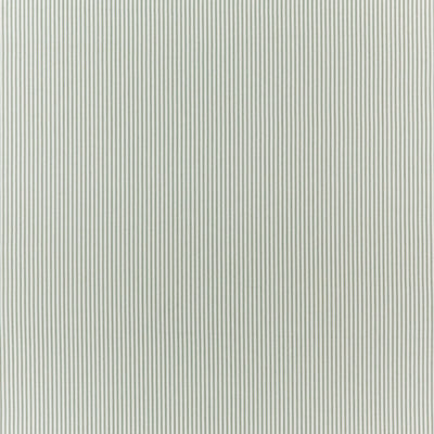 Robinia Eau De Nil Edgeworth II Fabric by Clarke & Clarke