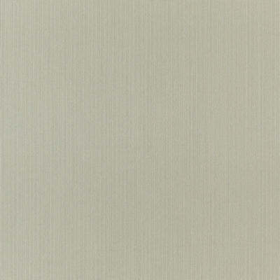 Spencer Eau De Nil Edgeworth II Fabric by Clarke & Clarke