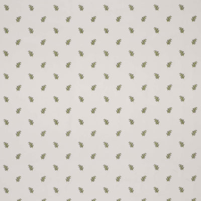 Mini Herbarium Sage Cassia Fabric by Clarke & Clarke