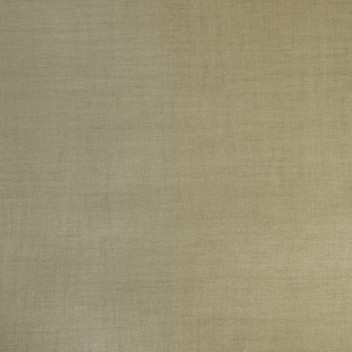 Seta Hemp Spring 2023 Wallpaper by Coraggio — flat