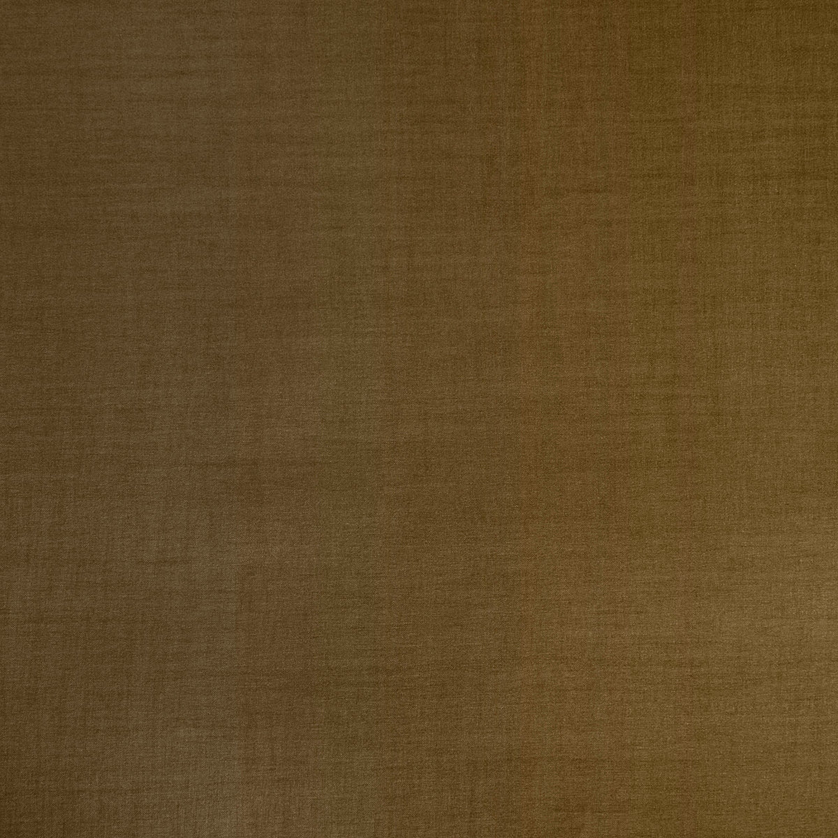 Seta Bronze Spring 2023 Wallpaper by Coraggio — flat
