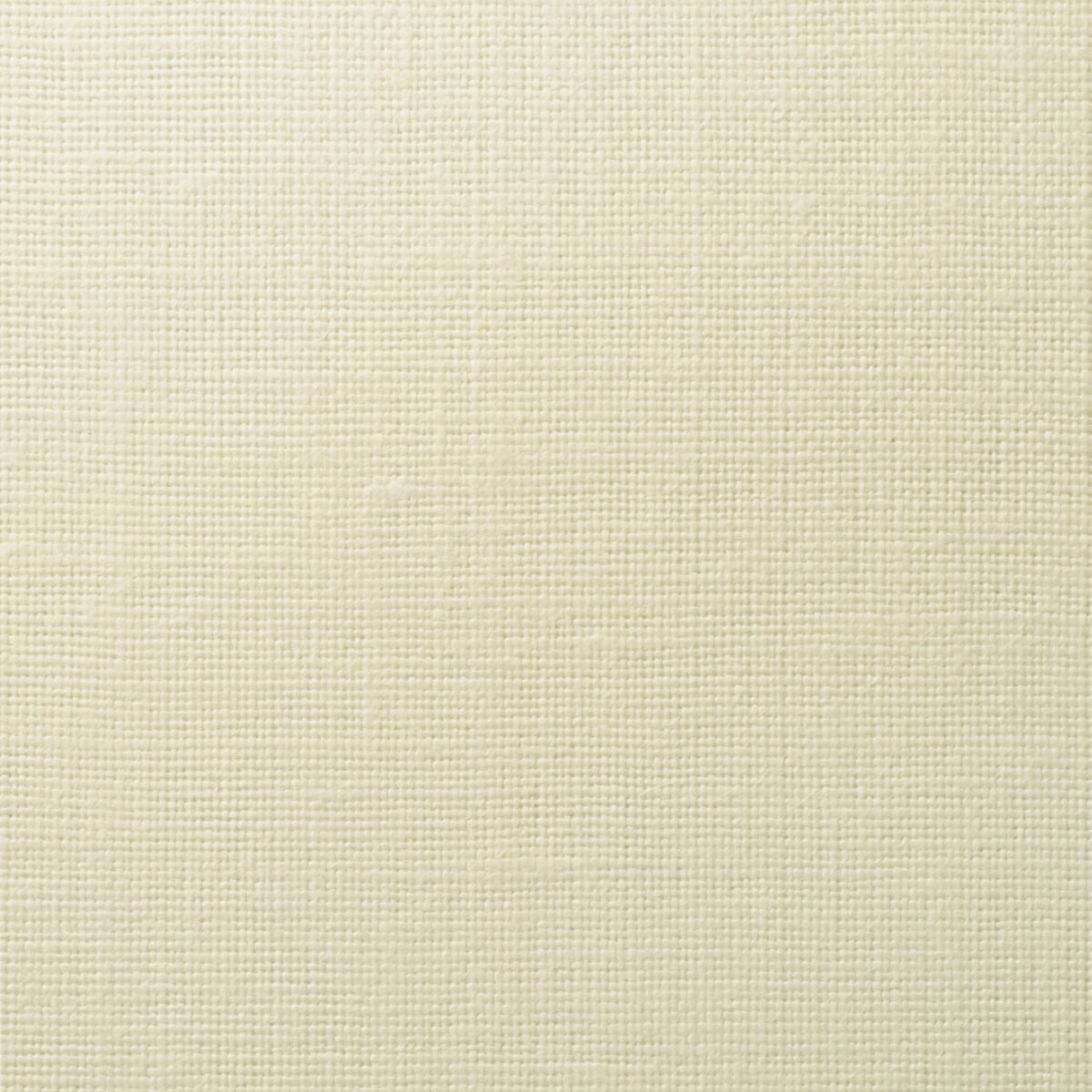 Ghent Oyster Spring 2023 Wallpaper by Coraggio — flat