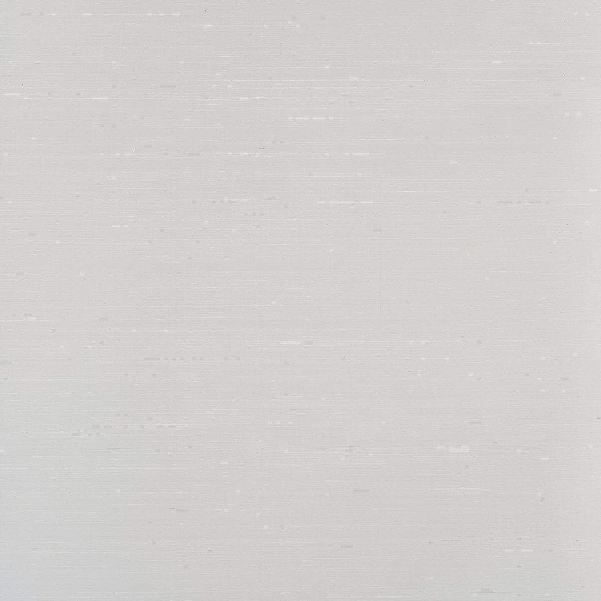 Sopraffino Grigio Spring 2024 Wallpaper by Coraggio — flat