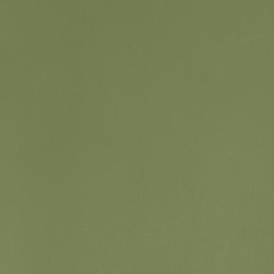 Gramercy Park Olive Fall 2024 Fabric by Coraggio