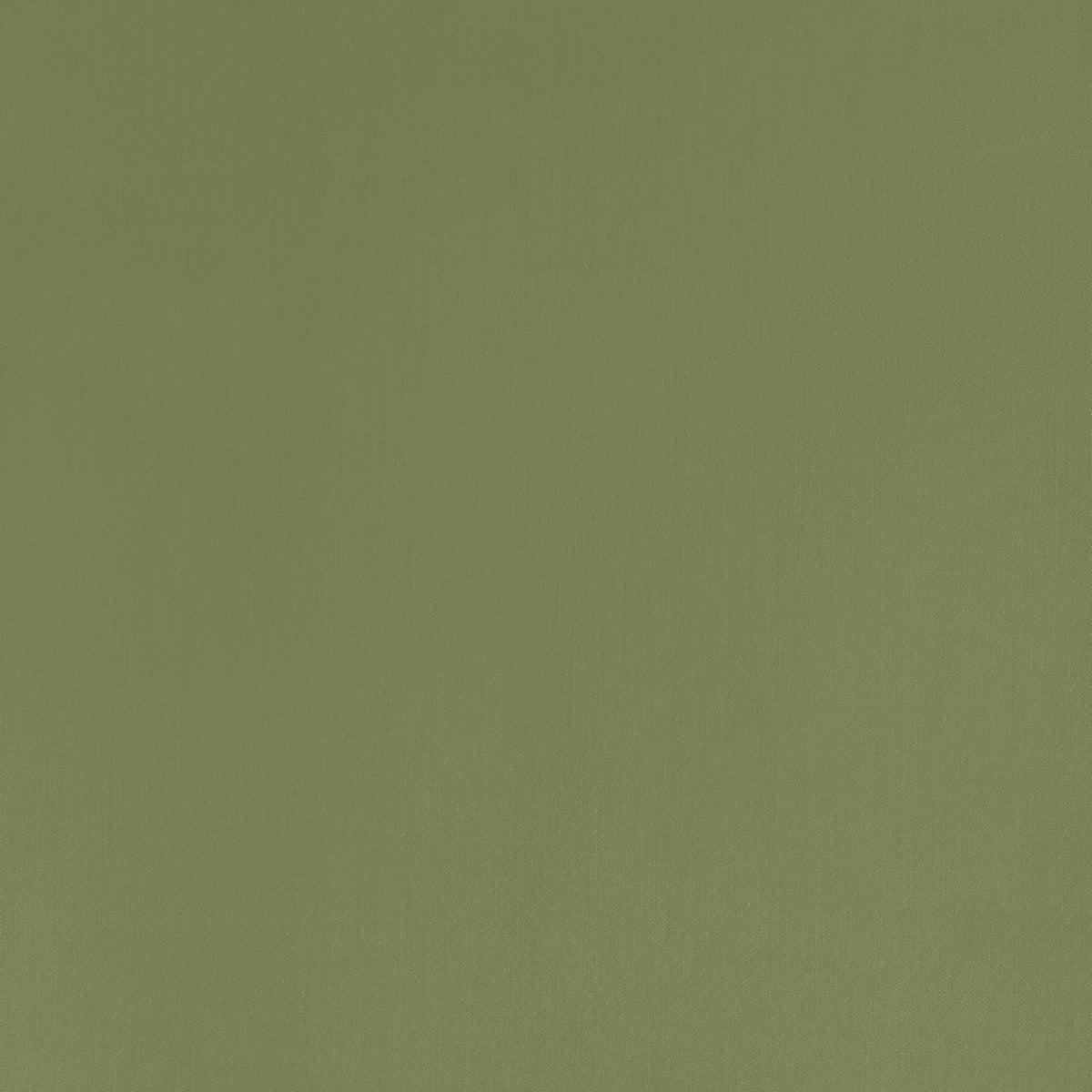 Gramercy Park Olive Fall 2024 Fabric by Coraggio — flat