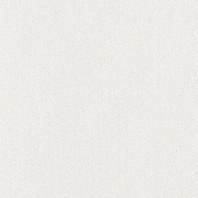 Camarosa Drive Alabaster Thomas Lavin Fabric by Coraggio