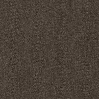 Camarosa Drive Java Thomas Lavin Fabric by Coraggio
