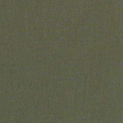 Camarosa Drive Olive Thomas Lavin Fabric by Coraggio