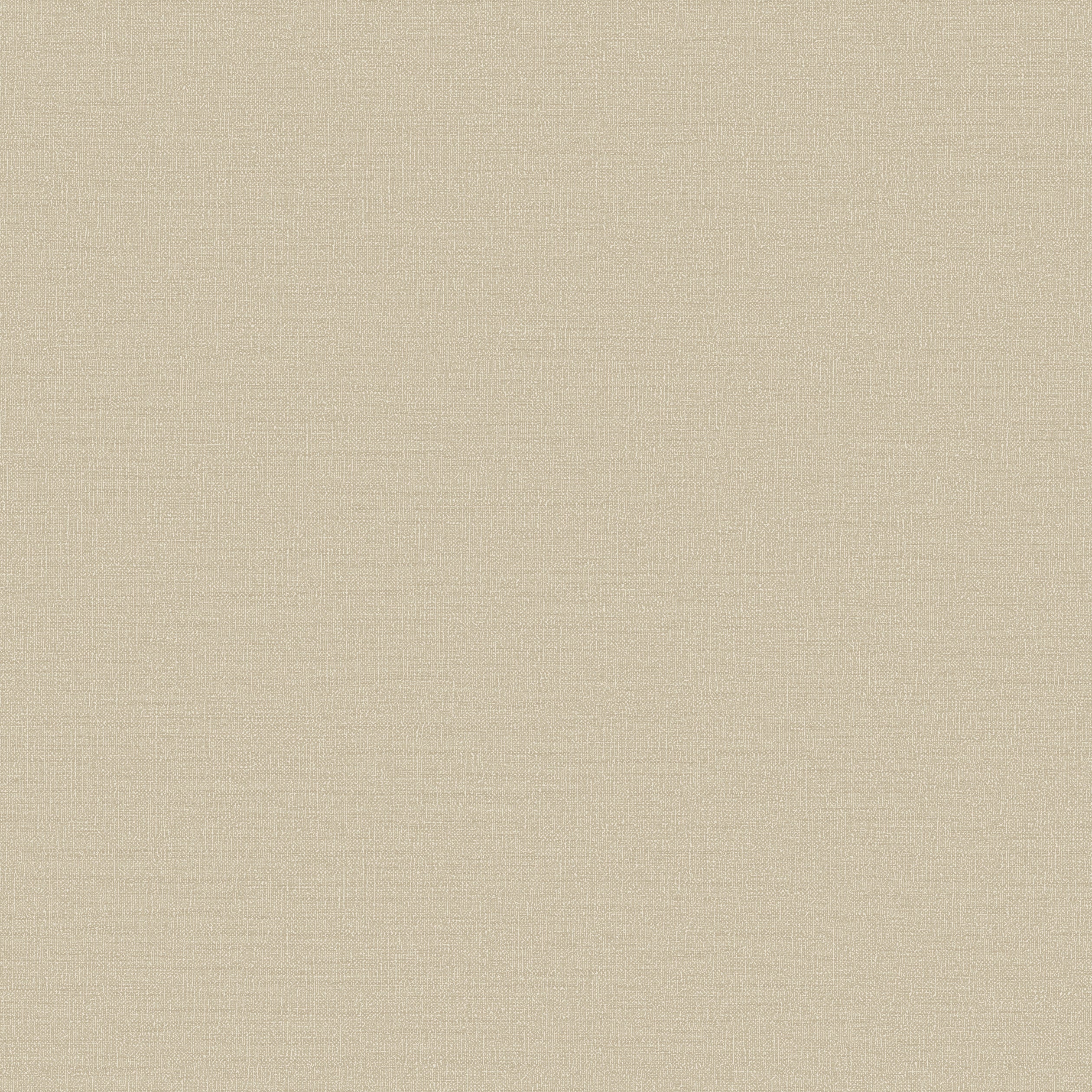 DC30117 Abstract Texture Beige Wallpaper by Galerie