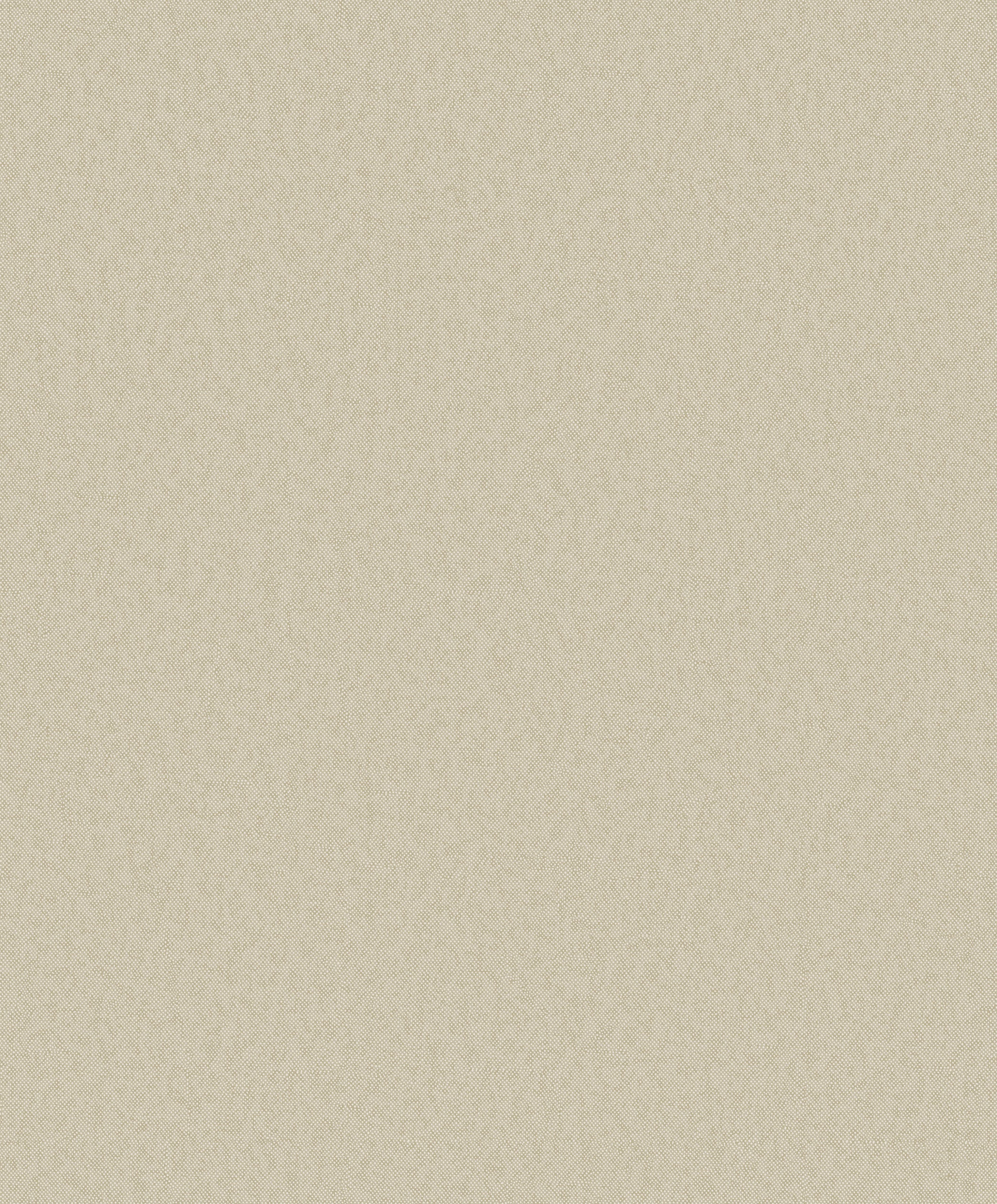 DC30135 Even Texture Beige Wallpaper by Galerie