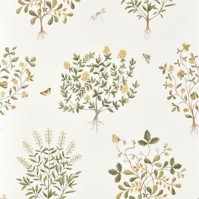 Thyme Walk Highgrove Lichen/Gooseberry Wallpaper by Sanderson