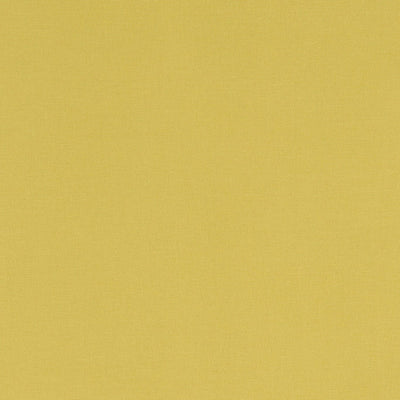 Alora Celery Fabric by Clarke and Clarke