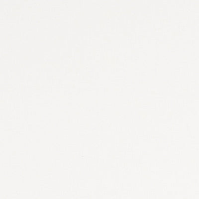 Alora Ivory Fabric by Clarke and Clarke
