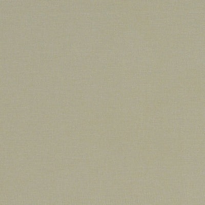 Alora Khaki Fabric by Clarke and Clarke