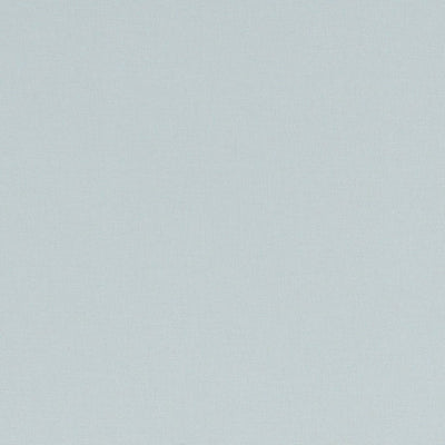 Alora Mineral Fabric by Clarke and Clarke