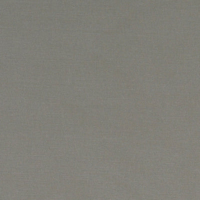 Alora Mink Fabric by Clarke and Clarke