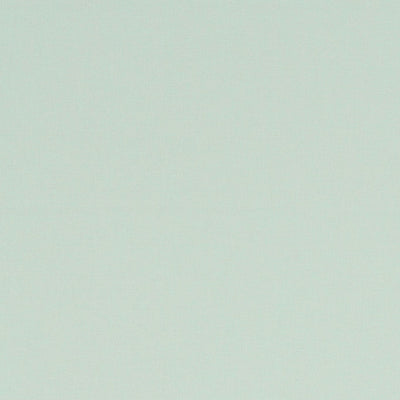Alora Mint Fabric by Clarke and Clarke