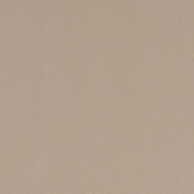 Alora Sand Fabric by Clarke and Clarke