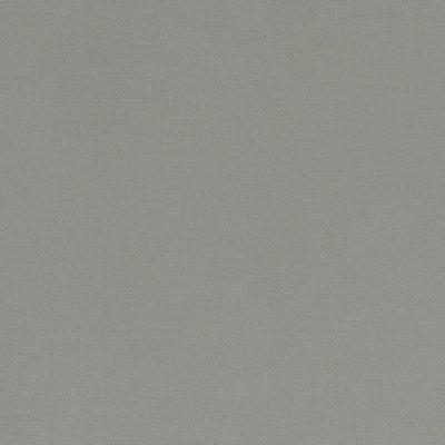 Alora Smoke Fabric by Clarke and Clarke