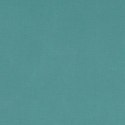 Alora Surf Fabric by Clarke and Clarke