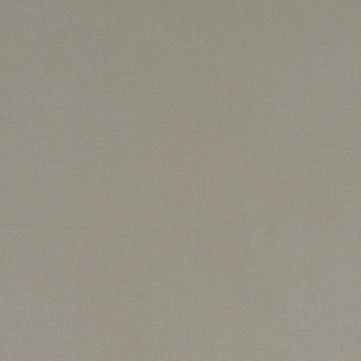 Alora Taupe Fabric by Clarke and Clarke