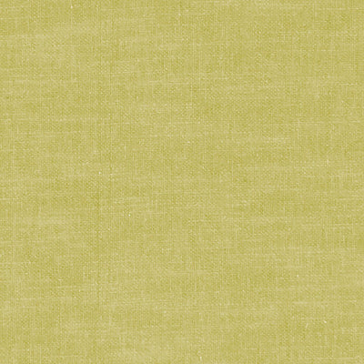 Amalfi Citron Fabric by Clarke and Clarke