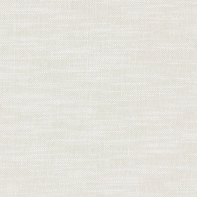Amalfi Polar Fabric by Clarke and Clarke