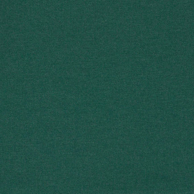Lugo Outdoor Alfesco Indoor Outdoor Forest Fabric by Clarke & Clarke