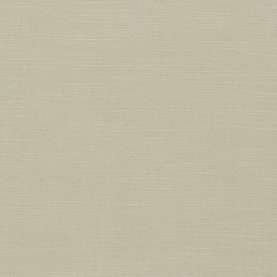 Paradiso Pebble Fabric by Clarke & Clarke