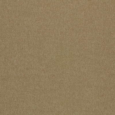 Paradiso Sesame Fabric by Clarke & Clarke