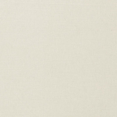 Paradiso Snow Fabric by Clarke & Clarke
