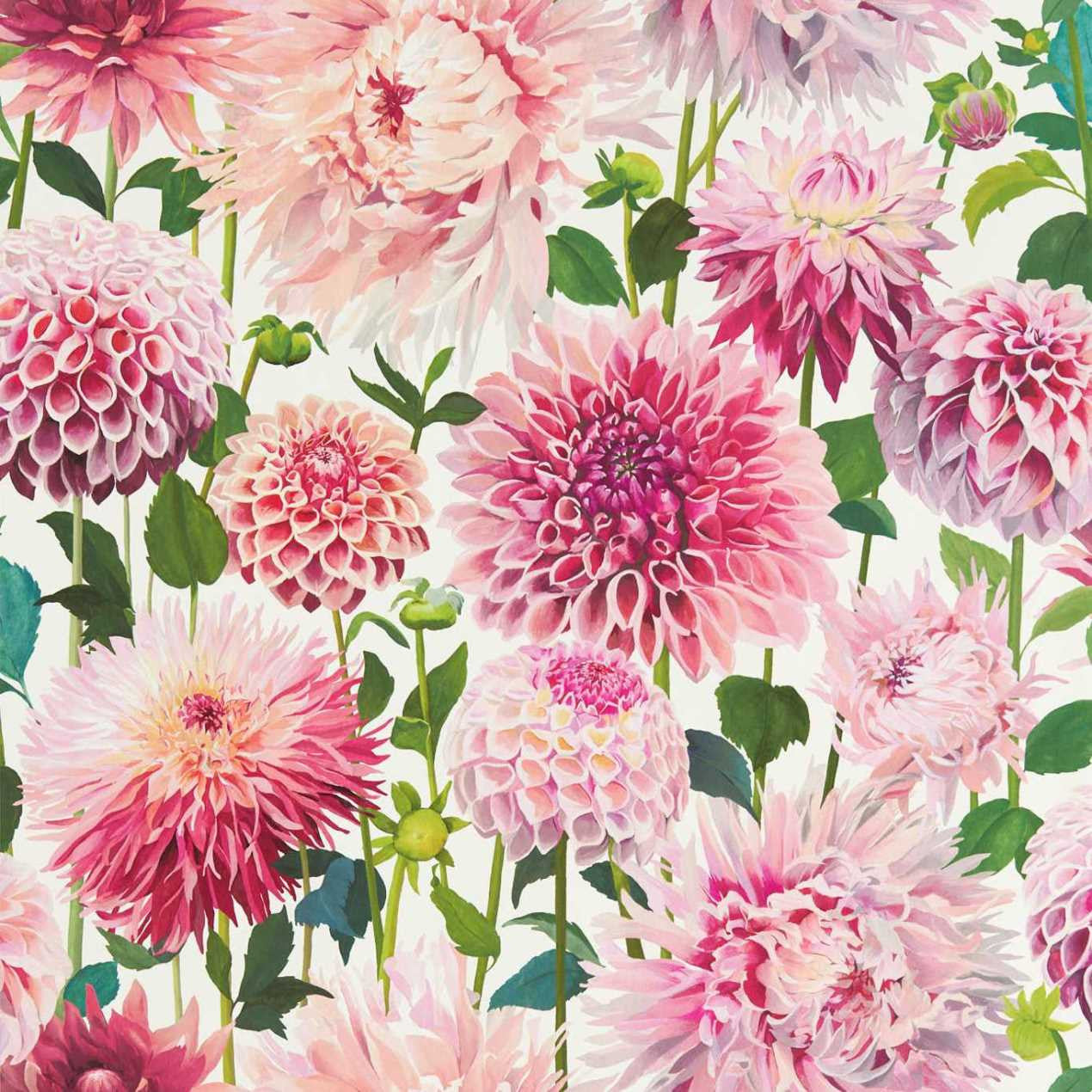 bonjour diary ◎ Wallpaper flower print 112843 HQN2112843 Dahlia Colour 2 Wallpaper by Harlequin