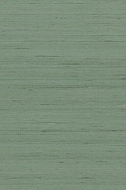 Mandya Juniper Mysuru Wallpaper by Arte