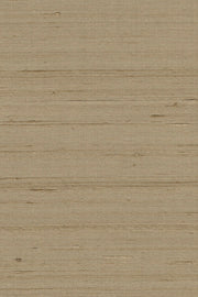 Mandya Hazel Mysuru Wallpaper by Arte