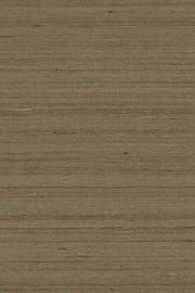 Mandya Bark Mysuru Wallpaper by Arte