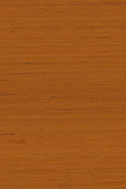 Mandya Spice Mysuru Wallpaper by Arte