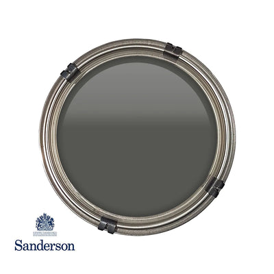 Active Emulsion 2.5L Amsterdam Green Sanderson Paint