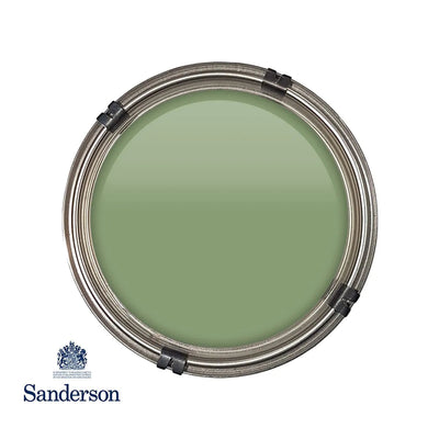 Active Emulsion 2.5L Botanical Green Sanderson Paint