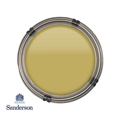Active Emulsion 2.5L Woodland Yellow Sanderson Paint