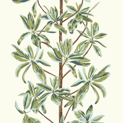 Mangrove Tree Sage Wanderlust Wallpaper by Thibaut