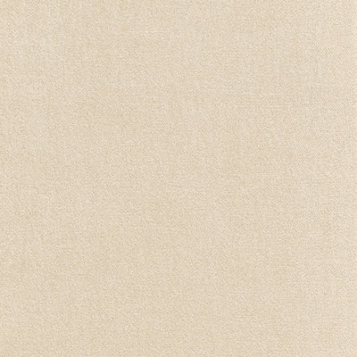 Royal Silk Mohair Velvet Beige Fall 2024 Fabric by Coraggio