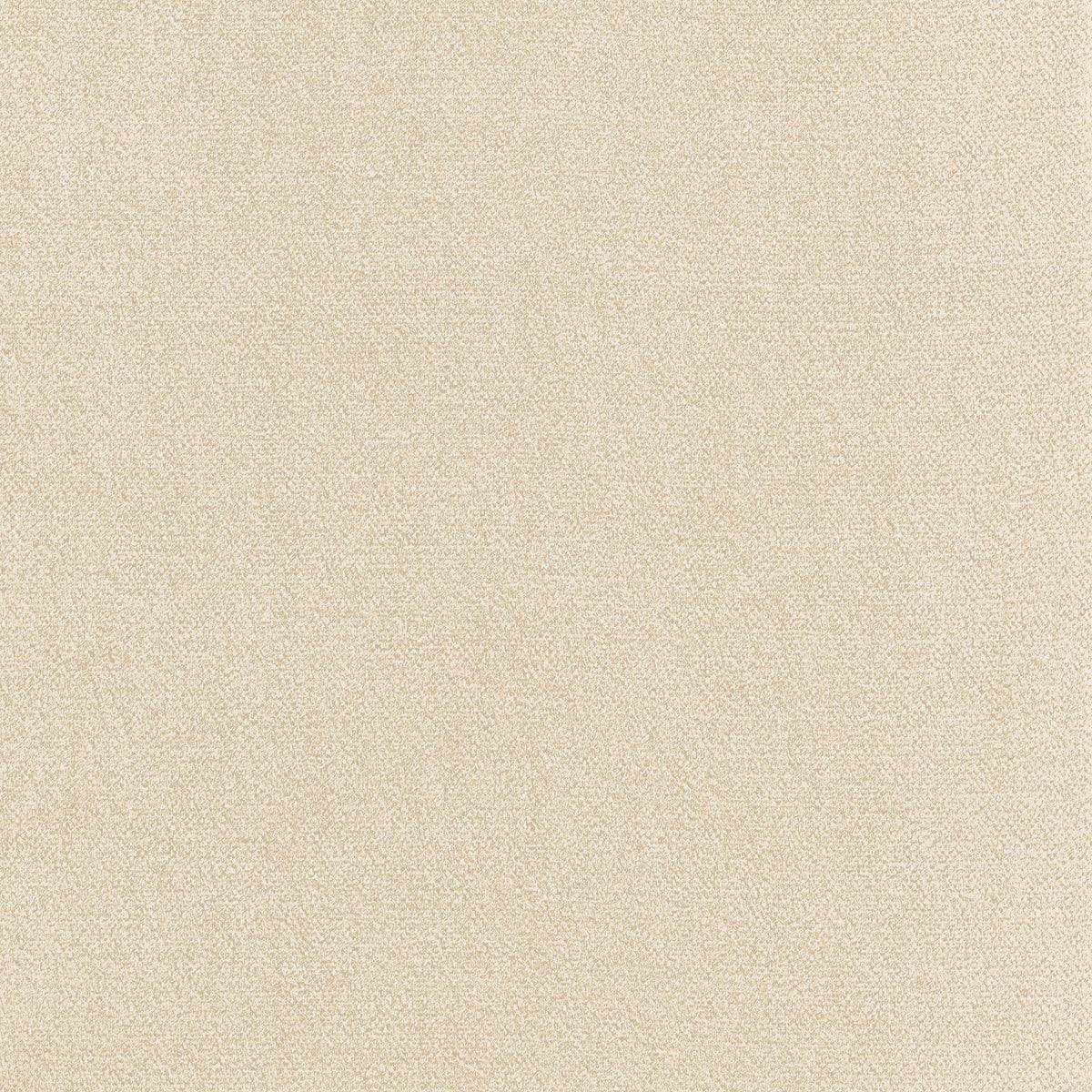Royal Silk Mohair Velvet Beige Fall 2024 Fabric by Coraggio — flat