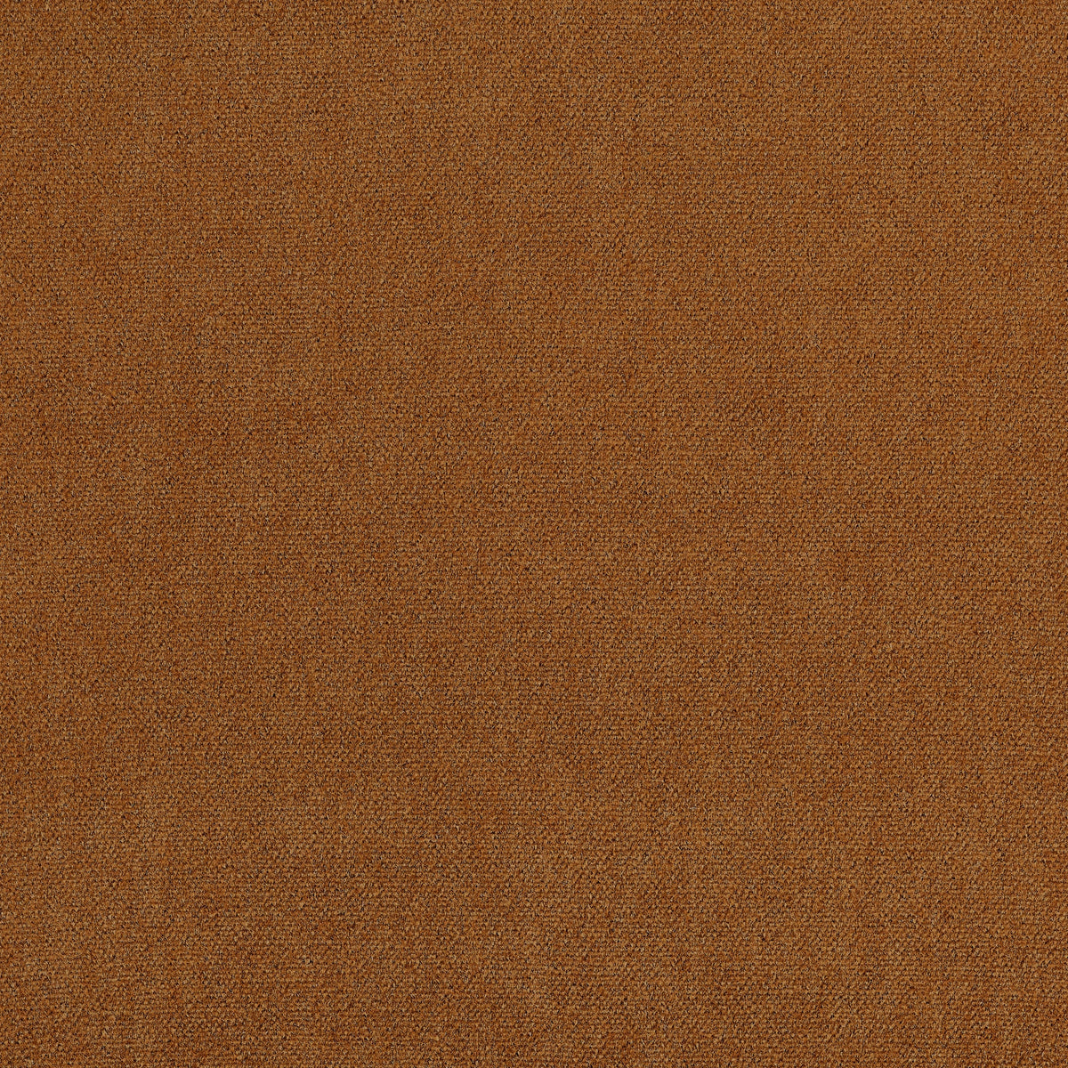 Royal Silk Mohair Velvet Cognac Fall 2024 Fabric by Coraggio — flat