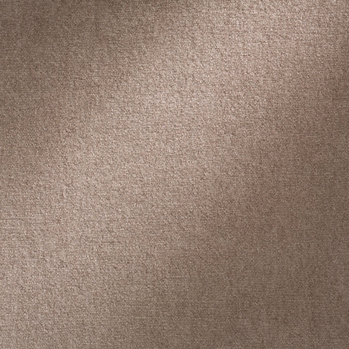 Royal Silk Mohair Velvet Sable Grey Legacy Fabric by Coraggio — flat